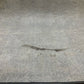 2006 Infiniti V35 G35 Rear Sedan Trunk Carpet Liner Oem 23Bh1F9 - On Point Parts Inc