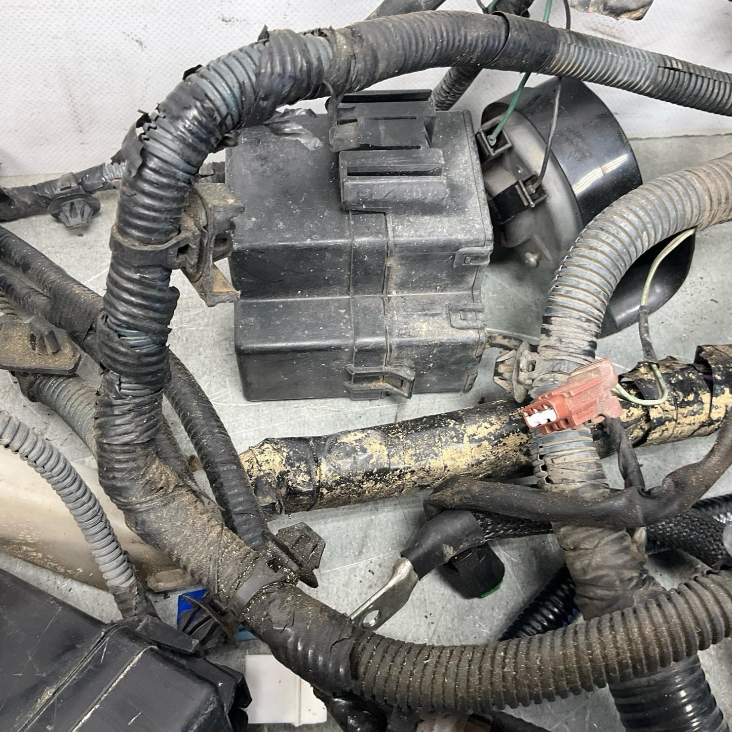 08-10 Infiniti G35 G37 VQ37VHR Auto Engine Bay Wire Harness 240121NC0B OEM IPG - On Point Parts Inc