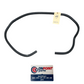 08-15 Infiniti G37 Rear Coupe Trunk Frame Weatherstrip Seal 84830Jl00A Oem Fyh