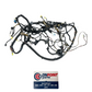 04-06 Infiniti G35 Coupe Driver Front Body Wire Harness 24014Ac821 Oem Hjh